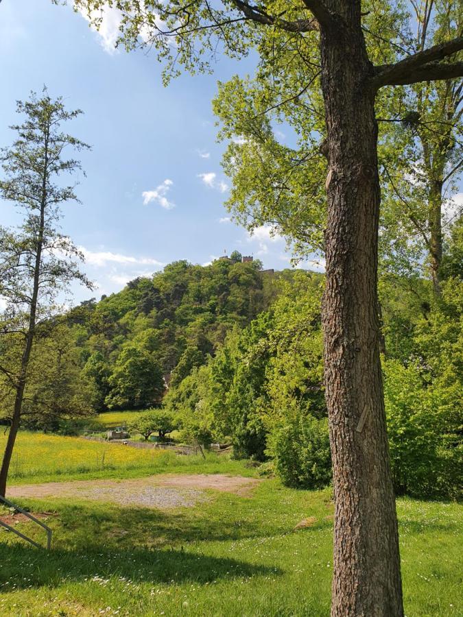 Alte Goldschmiede Suedpfalz Klingenmünster Exteriér fotografie